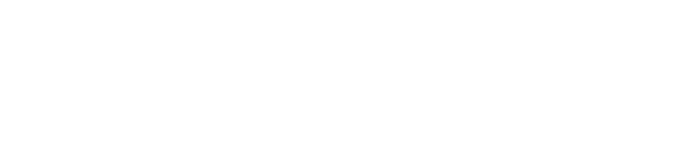 XLR8, Revenue Management System XLR8, Revenue Management System